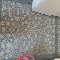 پادری تازه اندازه یک نیم در یک نیم