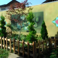 طراحی و محوطه سازی|خدمات باغبانی و درختکاری|رشت, لاکان|دیوار