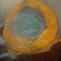 تورماهیگیری