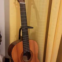 گیتار c40