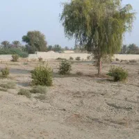 فروش زمین کنارترش