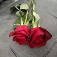 زمین-70-متری-دارای-پلاک-ثبتی-6-دنگ