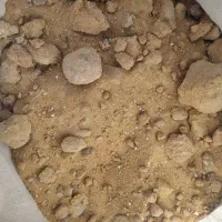 شکر بدون تسویه زنبور عسل