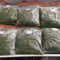 سبزی خورشت برای فروش