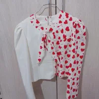 کراپ مجلسی و کیف مجلسی