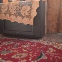 ۱۹اینچ سونی