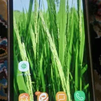 گوشی سامسونگ