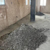 کود فضولاته کبوتر کوهی فضلا ریقنه