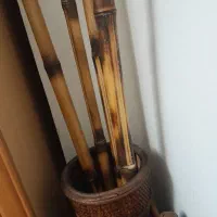 گلدان بامبو