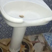 سرشور سالنی