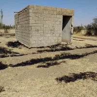 زمین کشاورزی واقع در جاده قبرستان آغداش|فروش زمین و ملک کلنگی|چهاربرج, |دیوار