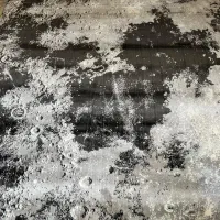 دوازده متری دونه یک میلیون پانصدفرش نوفقط ما داریم|فرش|بوشهر, |دیوار