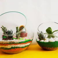 باغ شیشه ای (تراریوم) جذاب و ارزان قیمت