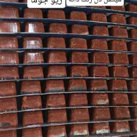 غذا ماهی منجمد