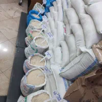 برنج گیلان