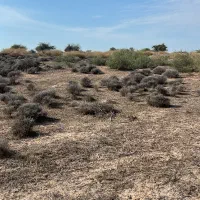 پلاک-اول-ب-دریا-بصورت-اقساطی