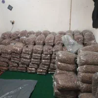 خرما زاهدی اِمسالی.تازه. تازه.|خوردنی و آشامیدنی|مشهد, رسالت|دیوار