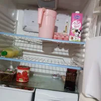 یخچال فریزر کارکرده|یخچال و فریزر|بومهن, |دیوار
