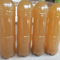 سرکه سیب،آبلیمو،آبغوره|خوردنی و آشامیدنی|گرگان, |دیوار