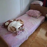 دو عدد تخت خواب تک نفره بهمراه میز کامپیوتر