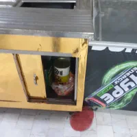 فریزرصندوقی تاپینگ خشکن میوه