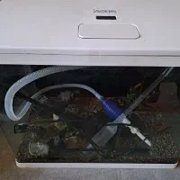 آکواریوم آکوا