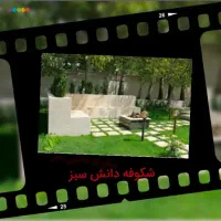 شرکت شکوفه دانش سبز مجری خدمات باغبانی وآبیاری|خدمات باغبانی و درختکاری|اهواز, امانیه|دیوار