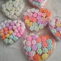 آموزش مجازی قند و نبات گیاهی