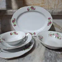 سرویس غذا خوری گل سرخ