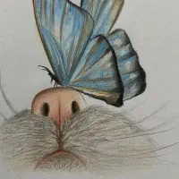 آموزش نقاشی کودک