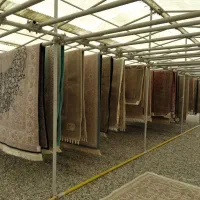 قالیشویی نارمک دردست گبرگ مجیدیه دبستان