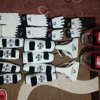 هوگو تکواندو