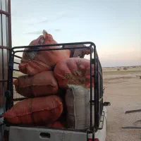 فروش کاه خوشه