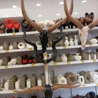 دیوارکوب حیوانات|مجسمه، تندیس، ماکت|تهران, تهرانسر مرکزی|دیوار