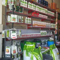 نمایندگی خدمات کشاورزی کود سم نهال و مشاوره