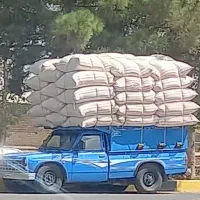 کاه گندم تحویلی درب دامداری