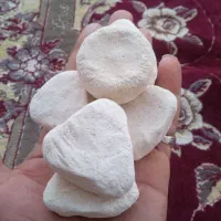 کشک گوسفند ی