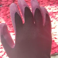 تولیدی دستکش ضد برش