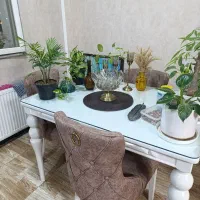 میز ناهار خوری ۴نفره