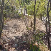 فروش باغستان سیاه میوه در پلنگان