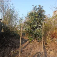 آگهی-زمین-مسکونی