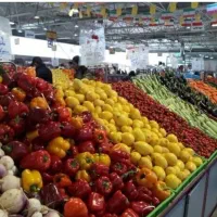 فروش غرفه تره بار