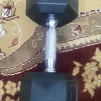 دمبل چند ضلعی یک عدد
