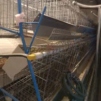 فروش قفس مرغ تخمگذار|لوازم جانبی حیوانات|خواجه, |دیوار