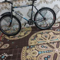 دوچرخه طرح ویواه۲۶