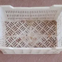 فروش سبد گوجه