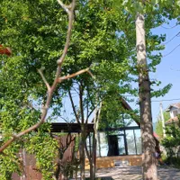 کلبه سوییسی کوتوم