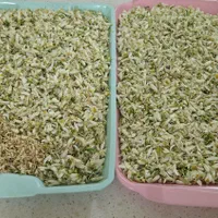 عرقیات خااص خانگی|خوردنی و آشامیدنی|شیراز, گلشن|دیوار