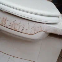 توالت فرنگی|لوازم سرویس بهداشتی|بروجرد, |دیوار