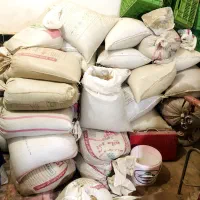 فروش بذر یونجه|عمدهفروشی|نصر آباد, |دیوار